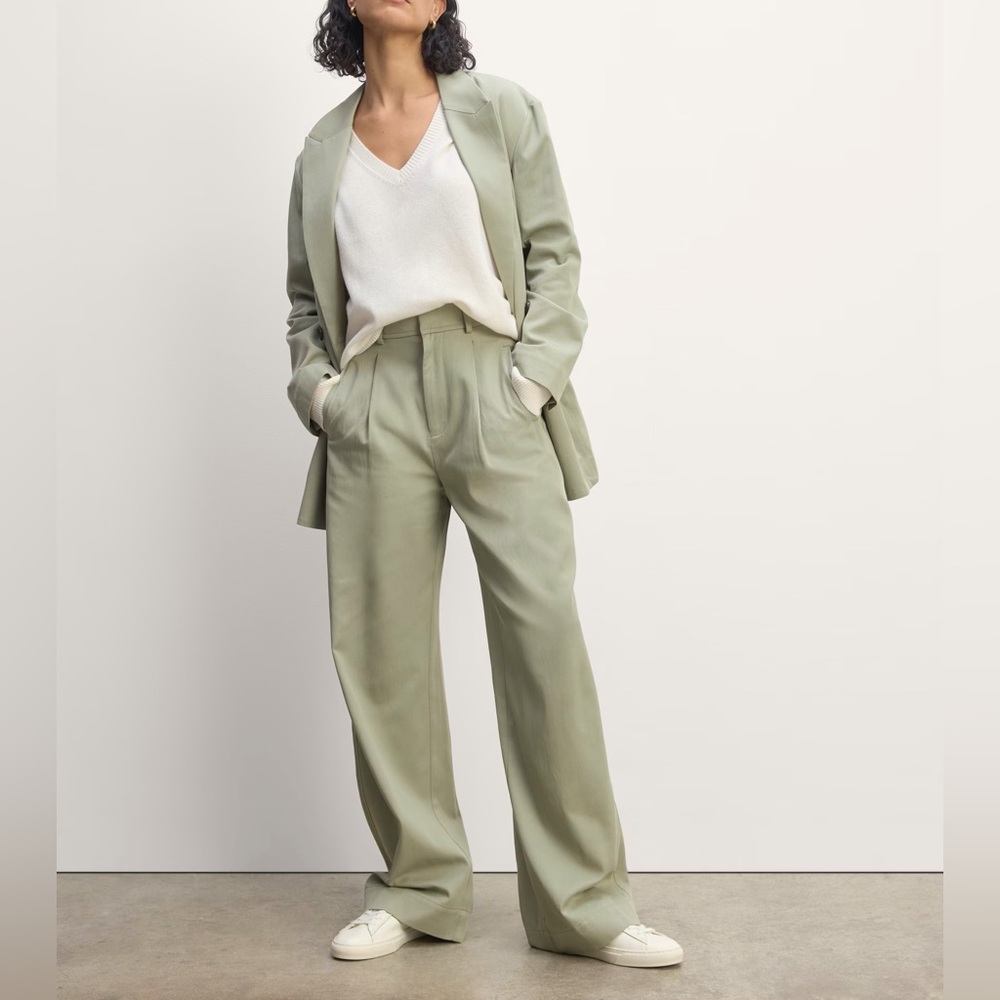 Everlane Draper Pleated Pant Seagrass